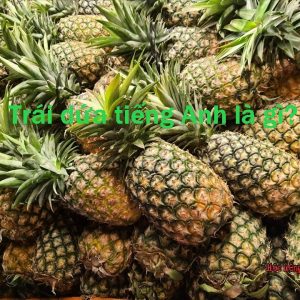 Bản dịch và cách sử dụng của từ trái dứa trong tiếng Anh.