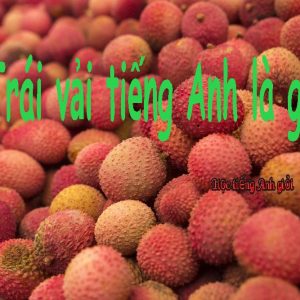 Cách học từ vựng trái vải trong tiếng Anh đơn giản và dễ dàng. 