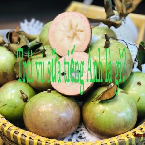 Cụm từ star apple phổ biến trong giao tiếp về chủ đề trái cây vùng nhiệt đới. 