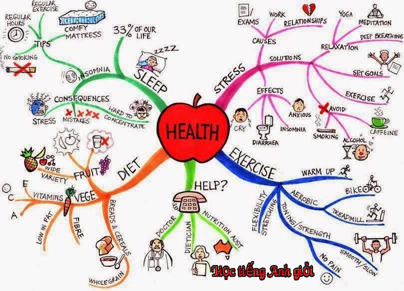 Học từ vựng tiếng Anh theo nhóm dễ ôn tập