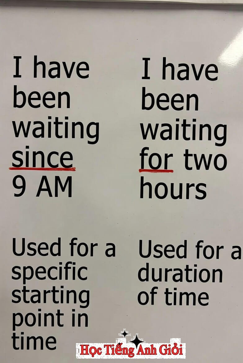 Cách dùng since vs for khi nói và viết câu thì Hiện tại Hoàn thành.